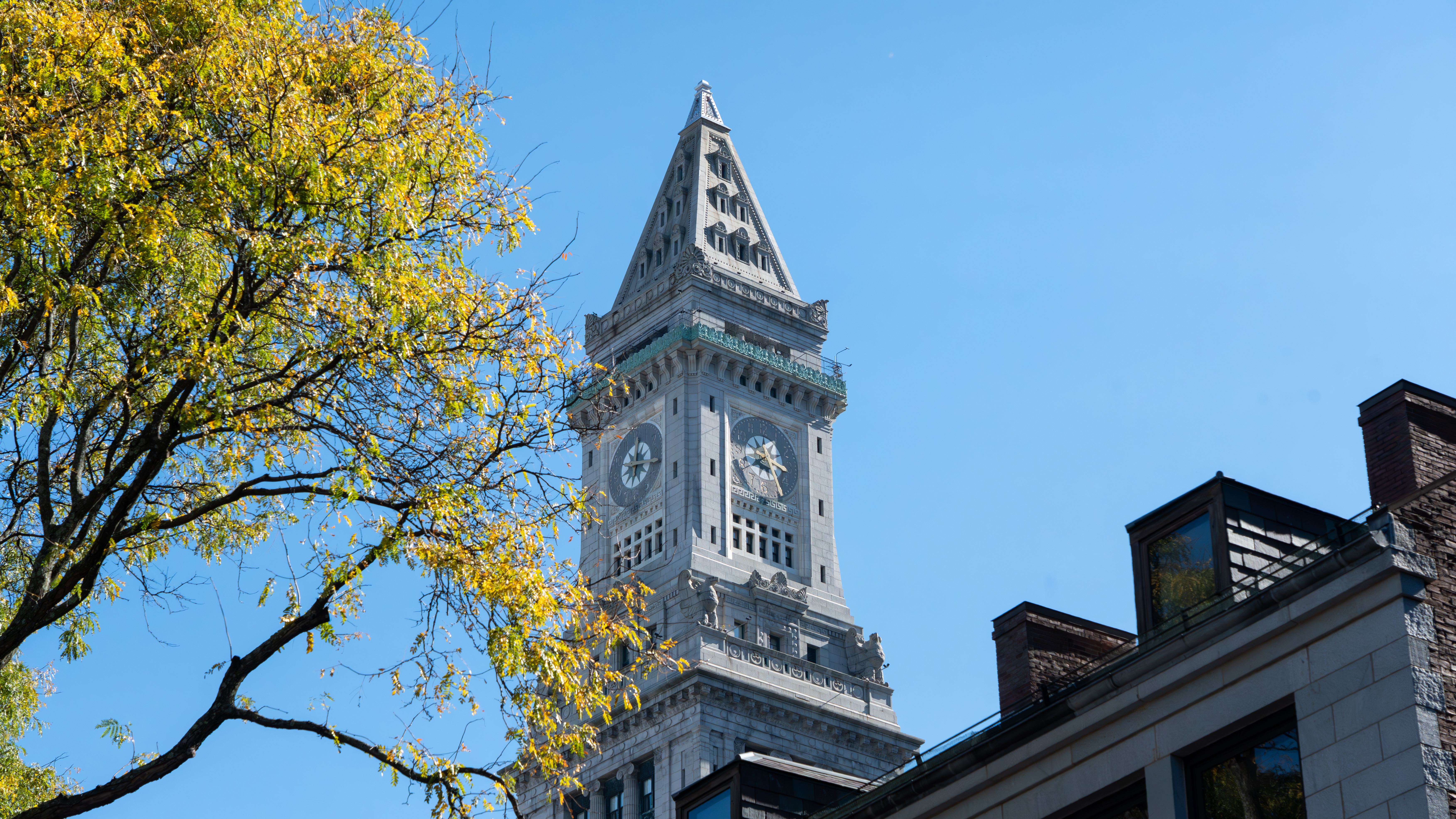 Custom House Tower clock face framed by autumn leaves