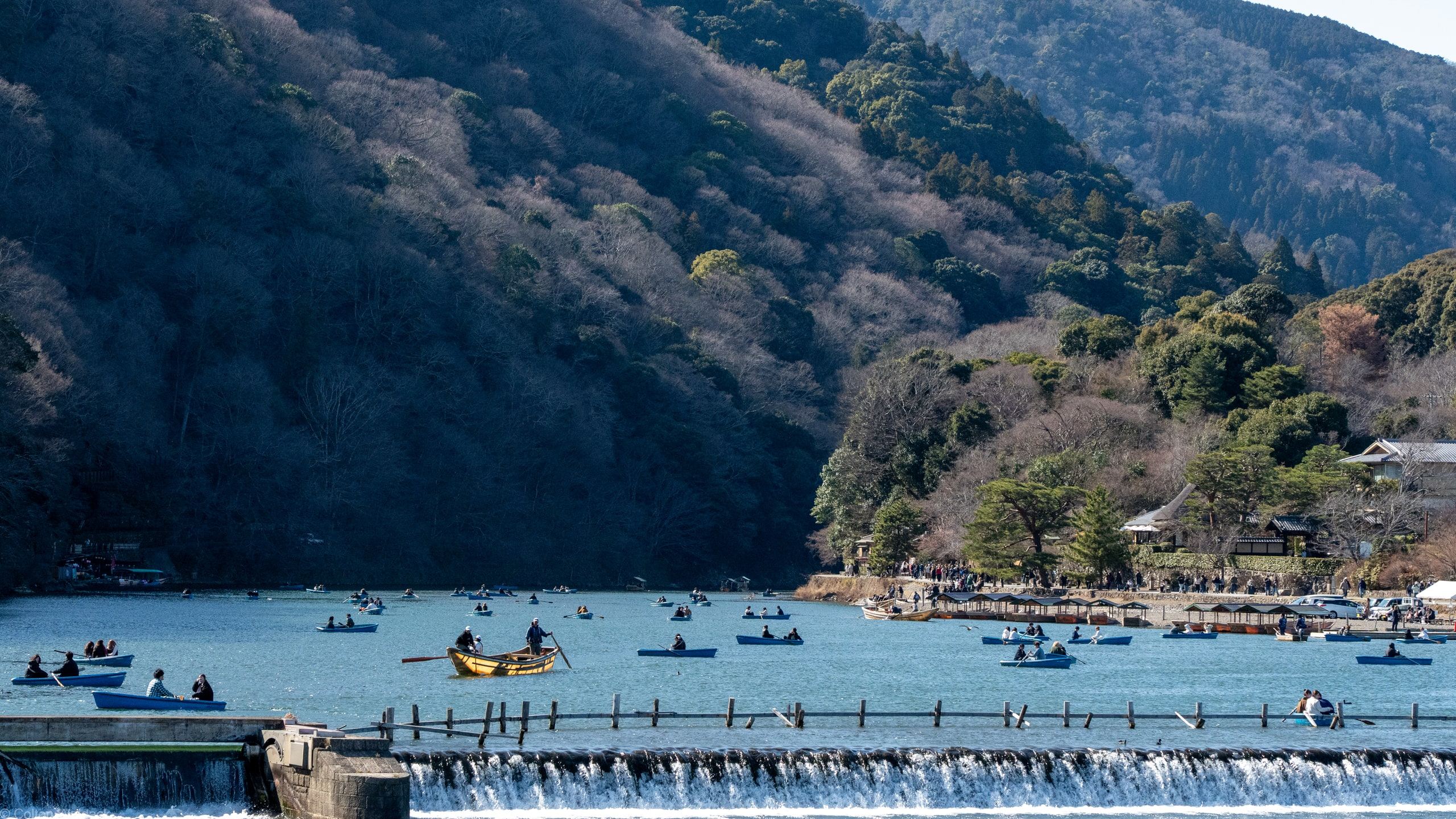 Rowboats gathered on turquoise water above a weir in Arashiyama