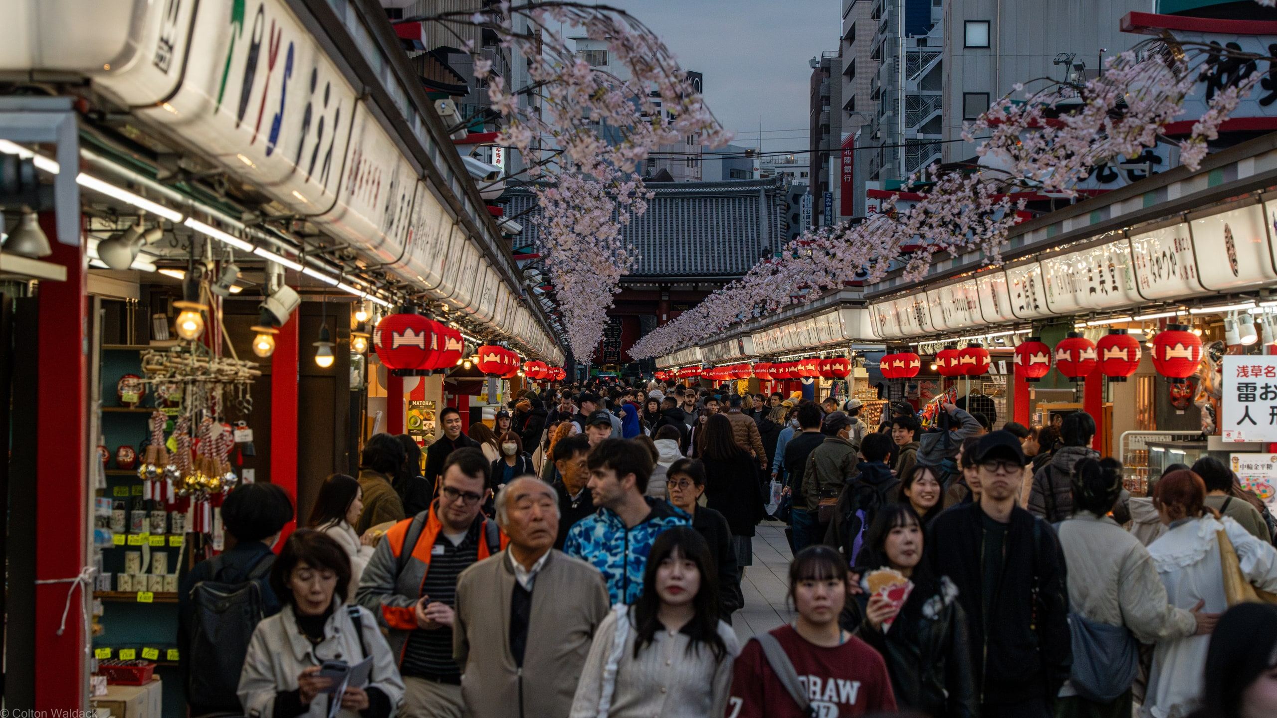 Nakamise shopping street packed with people under cherry blossoms